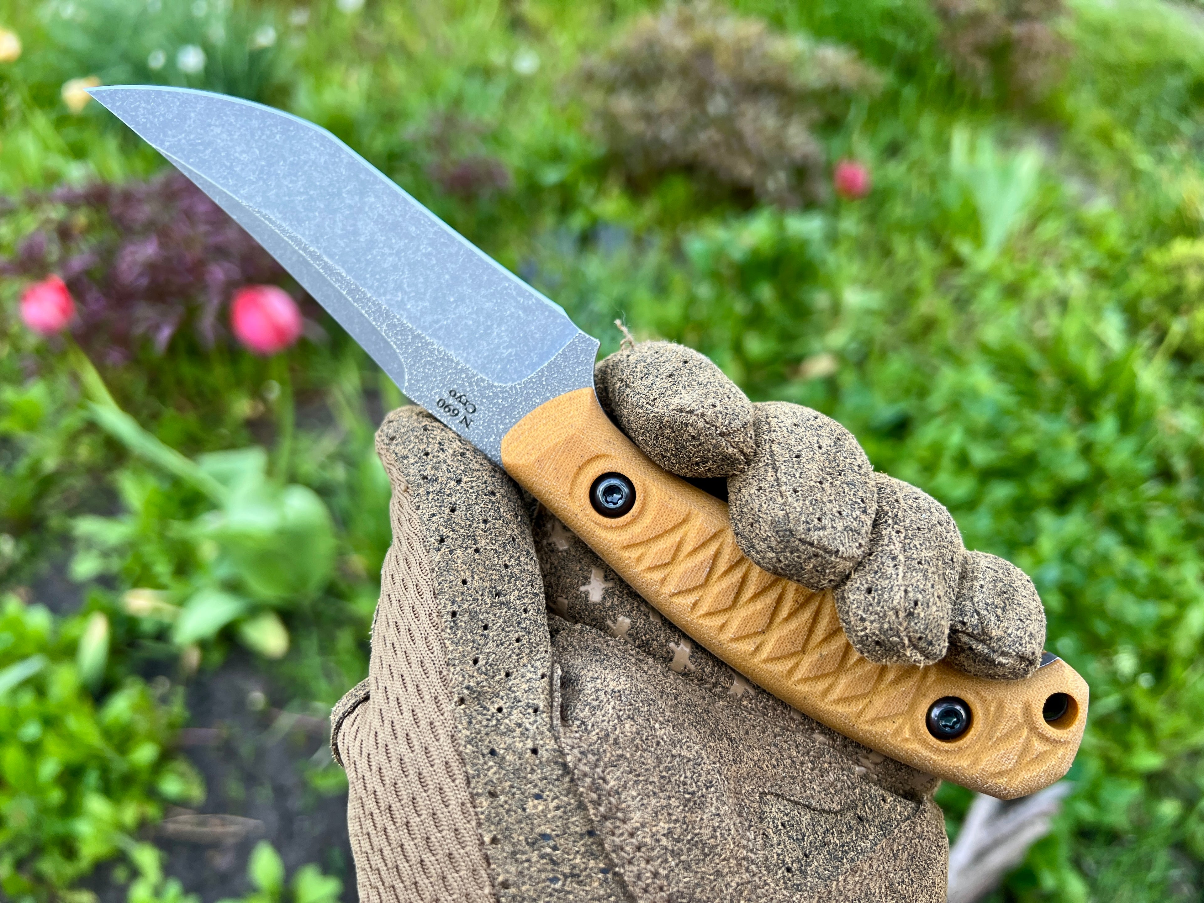 Vampire – Coyote – Stonewashed available